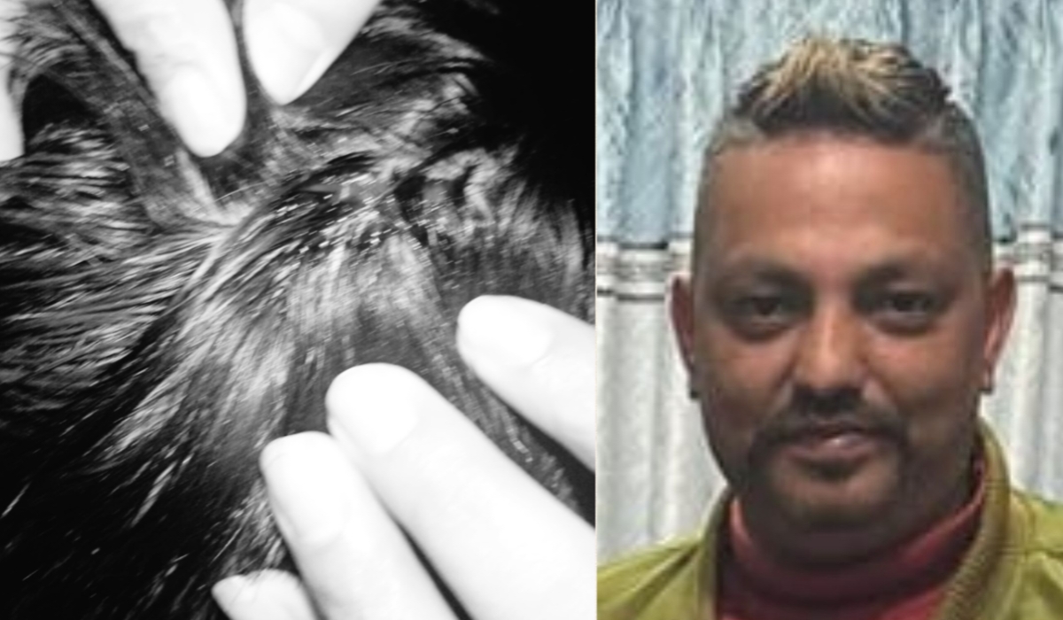 डीएसपीलाई धम्की :  दरबार टप रोधी क्लबमा सञ्चालक गिरि समूहबाट कुटिए आशिष