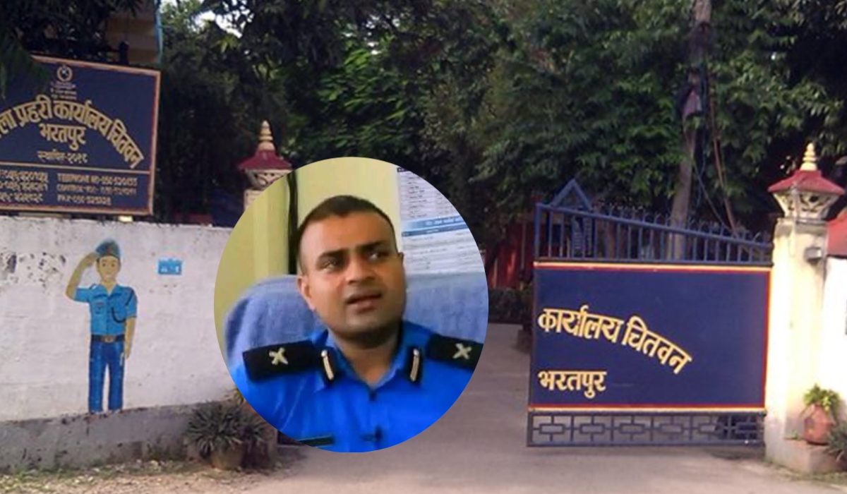 image image